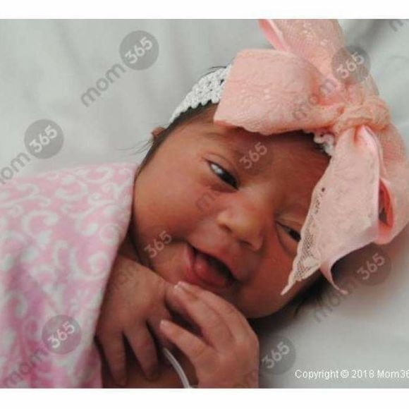 Meet your Posher, Ruby - Picture 1 of 1